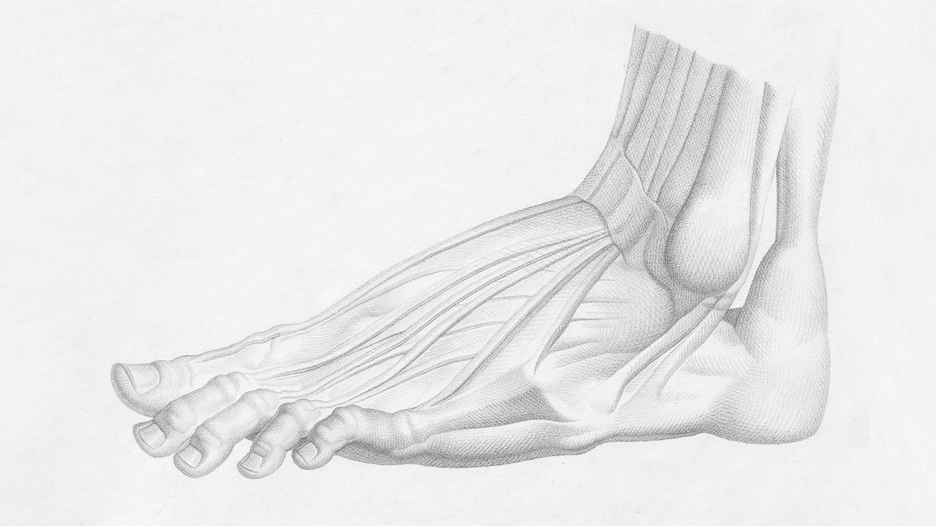 Understanding the Link Between Diabetes and Foot Health